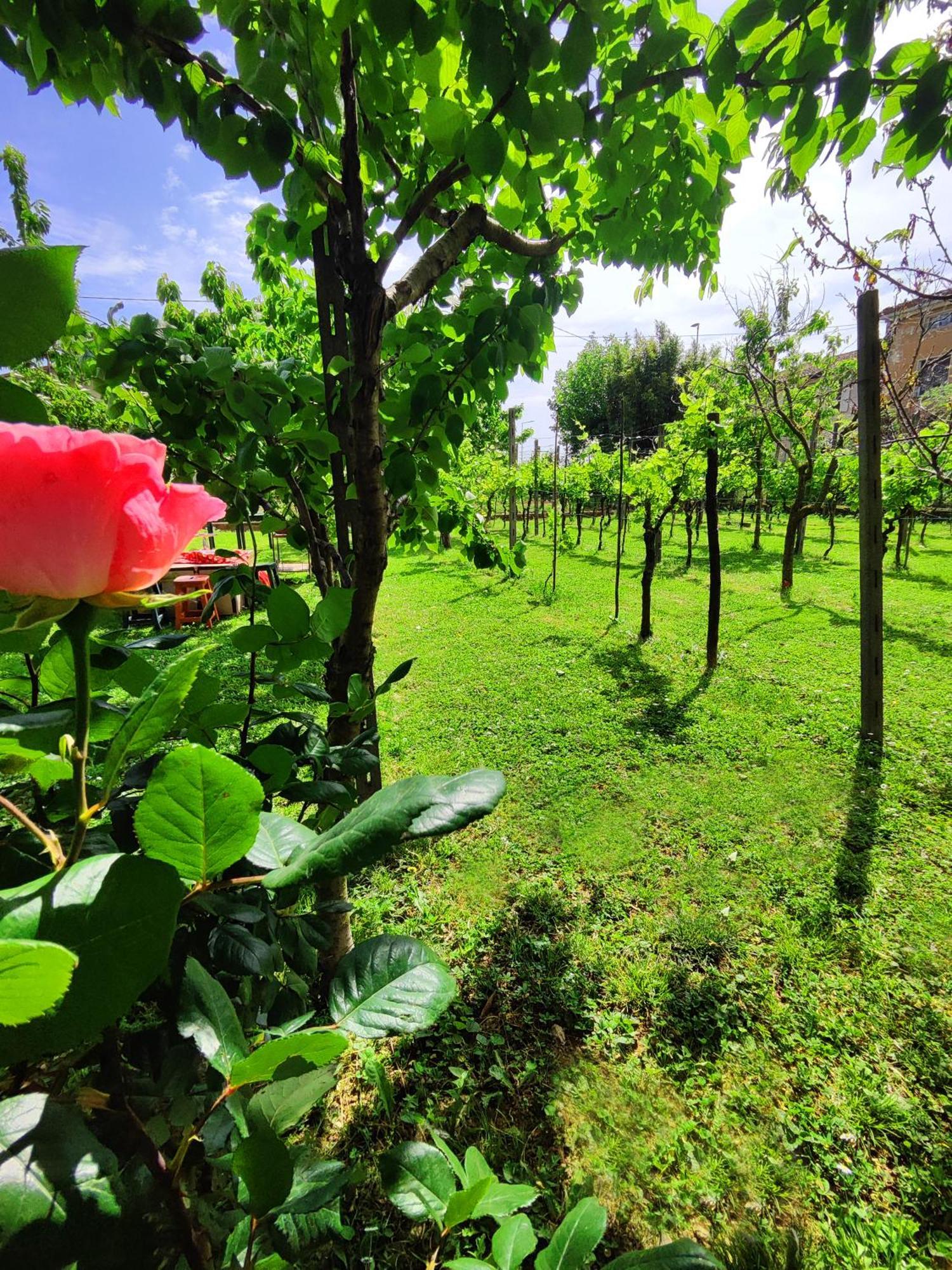 Bed and Breakfast Garda Relais Antica Romelia Монтикьяри Экстерьер фото