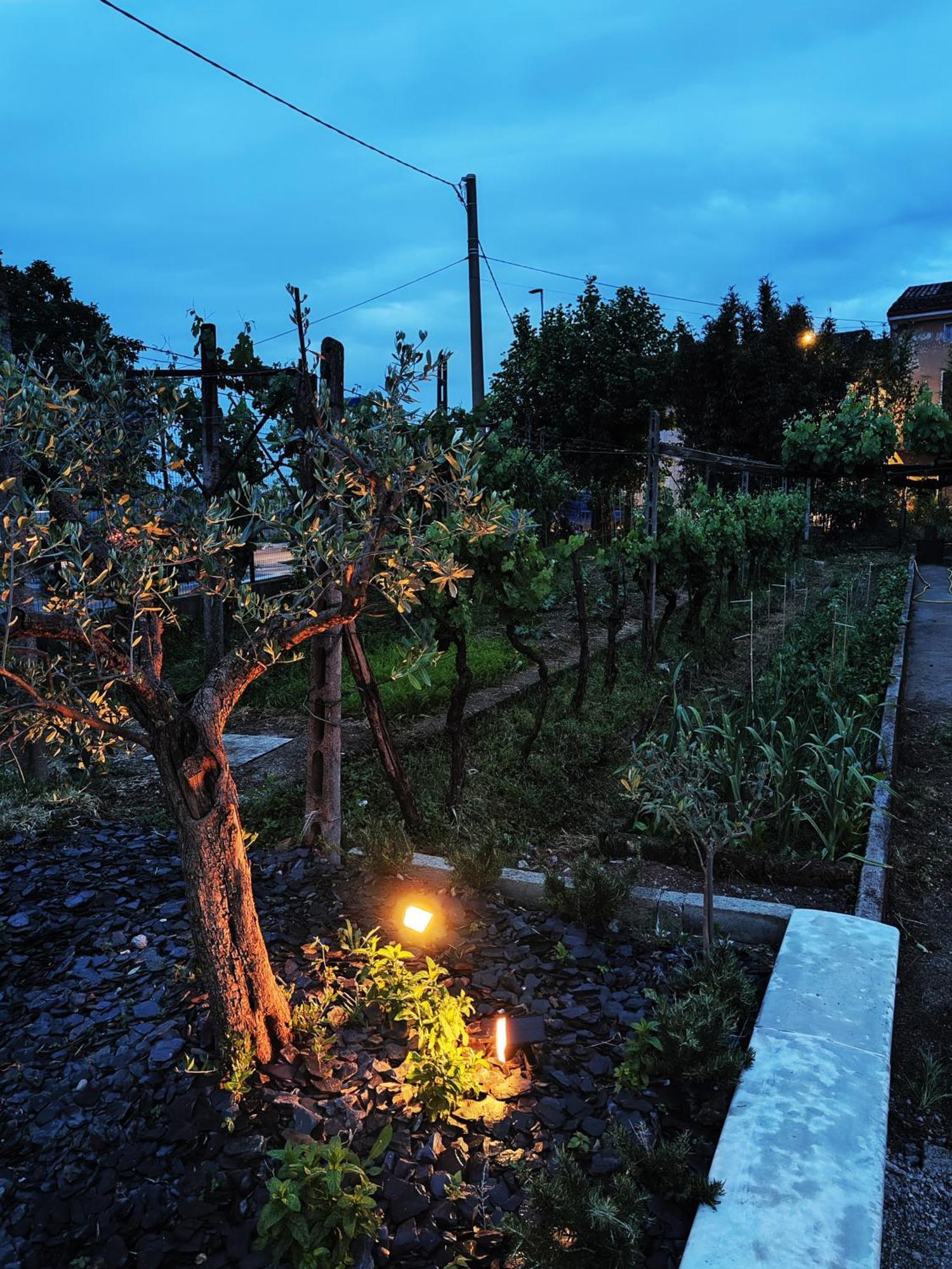 Bed and Breakfast Garda Relais Antica Romelia Монтикьяри Экстерьер фото